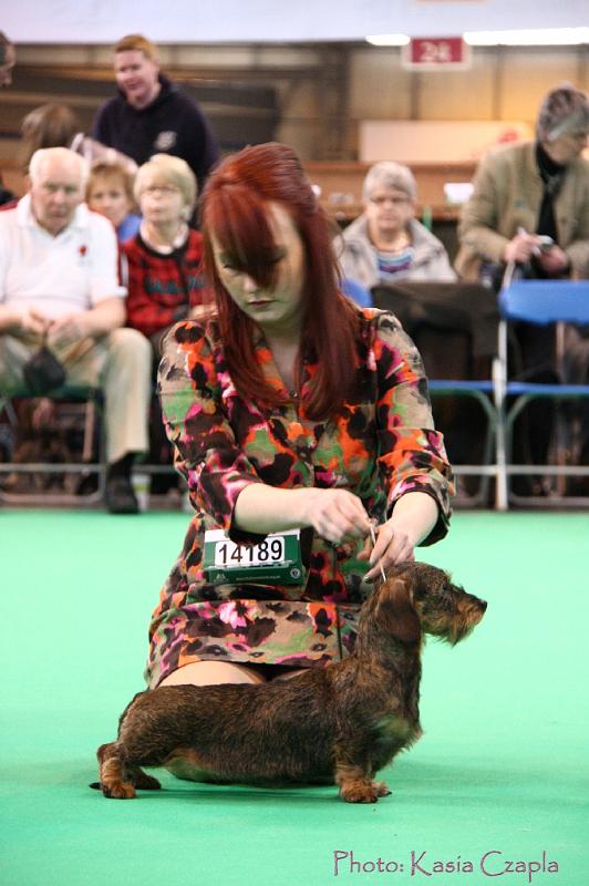 Crufts2011_2 1194.jpg